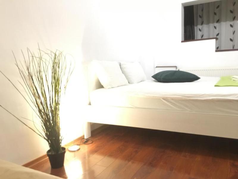 New Green Apartment Studio 1 Bucureşti Rom bilde